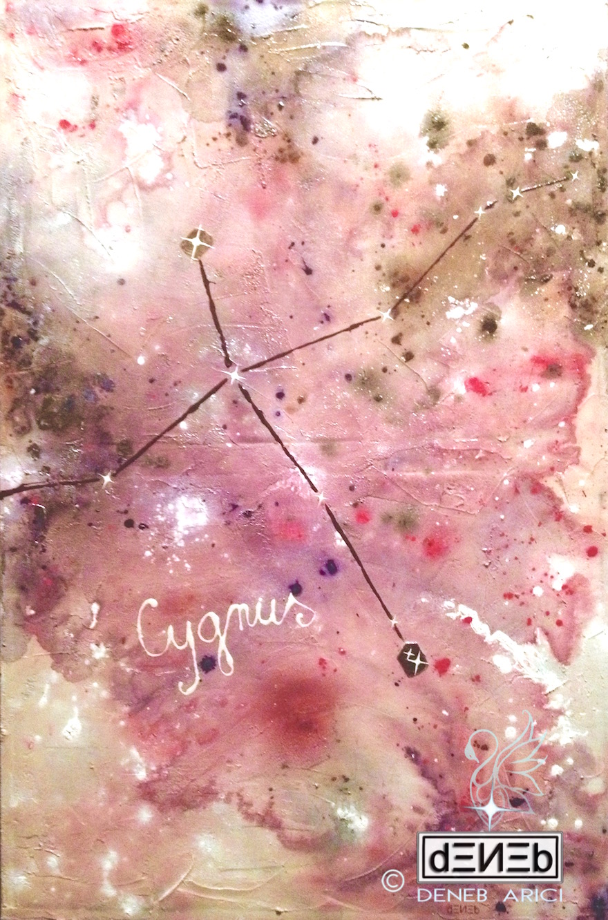 Cygnus, costellazione del Cigno