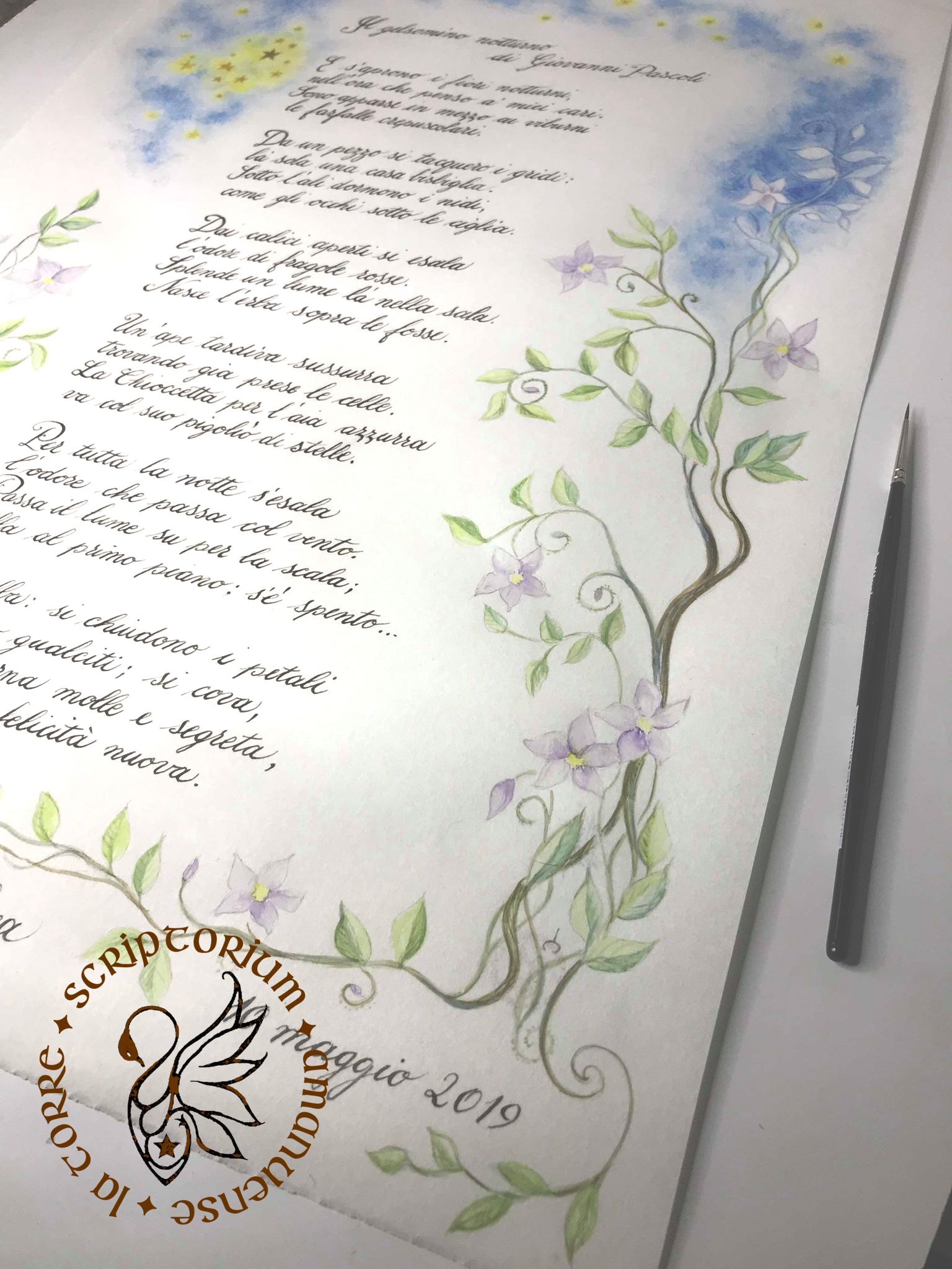 Il Gelsomino Notturno - poesia di Giovanni Pascoli - calligrafato ed illustrato completamente a mano